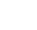 Vyrfi Logo